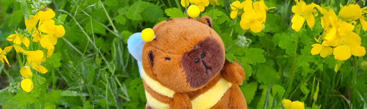 카피바라 대표 이미지