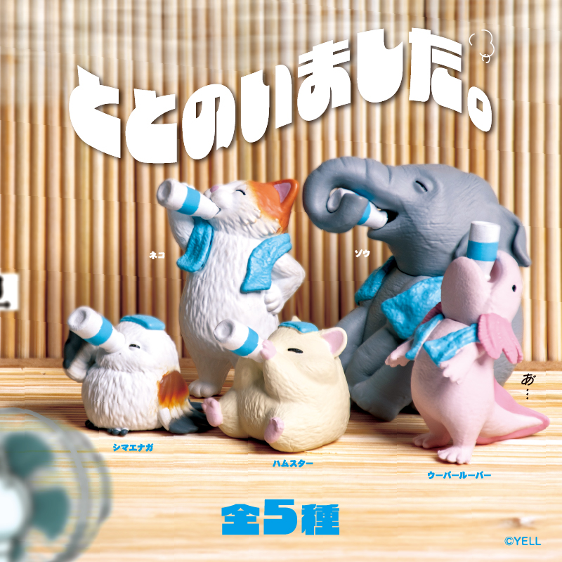 Yell 준비 끝났습니다!