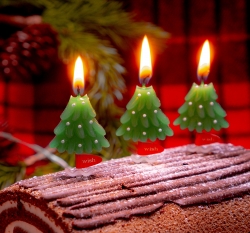 유어캔들 크리스마스 파티 케이크 초 