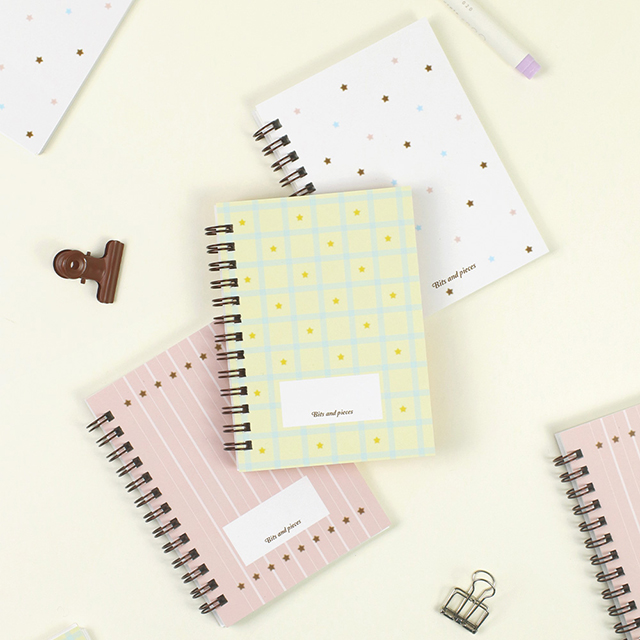 [만년형]비츠앤피시스 미니 다이어리