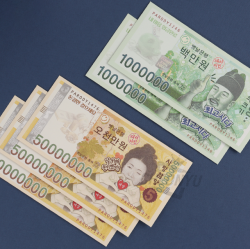 NEW 돈다발 돈봉투 5매입 (24개 1세트)