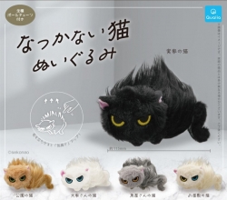 캡슐_정 안 가는 고양이 봉제인형 5종 (20개 1세트)_가챠박스 무료증정