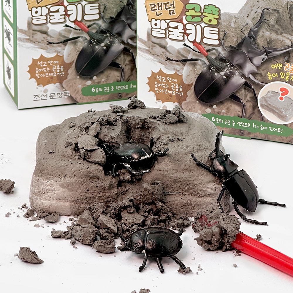 랜덤 곤충 발굴 키트