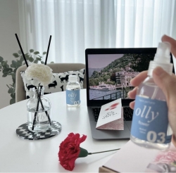 올리 카네이션 디퓨저 섬유 스프레이 기프트세트