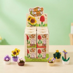 화분블럭 팝핑캔디 2g (12개 1세트) 