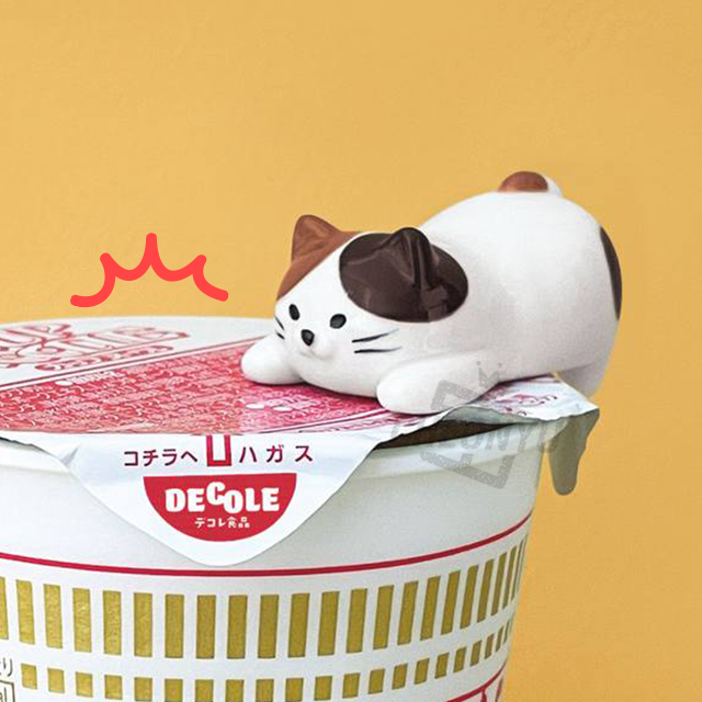 뚜껑 꾹 고양이 홀더