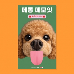 푸들 메롱 메모잇 S